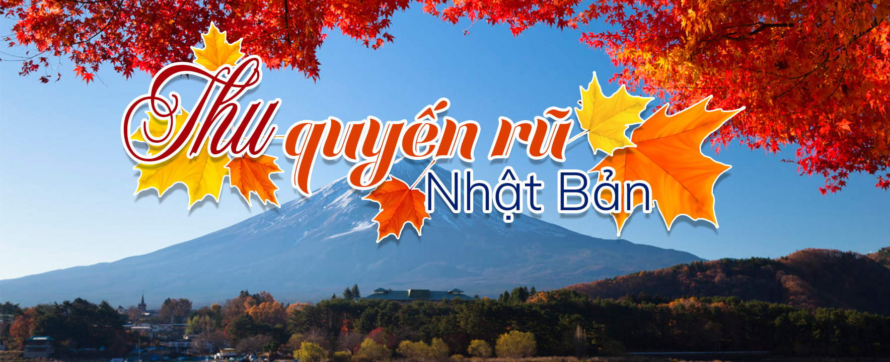 Tour Du Lịch Nước Ngoài & Trong Nước Trọn Gói Giá Tốt