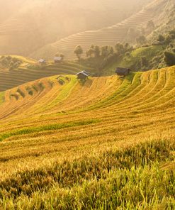 Tour du lịch Sapa 3 ngày 2 đêm